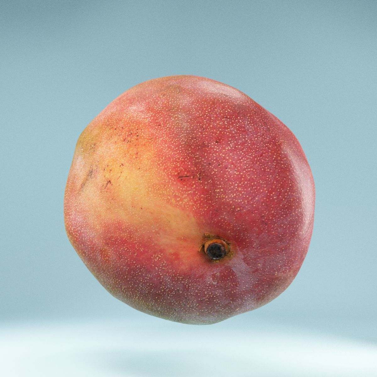 Mango Ataulfo Low-poly 3D model_10