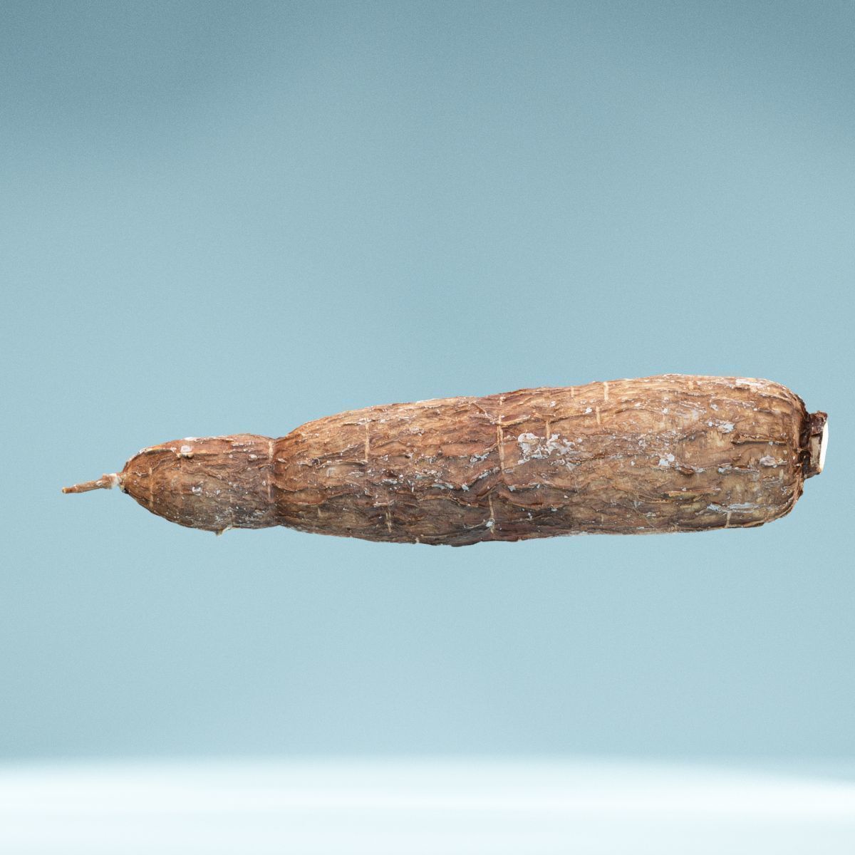 Cassava Manioc Low-poly 3D model_6