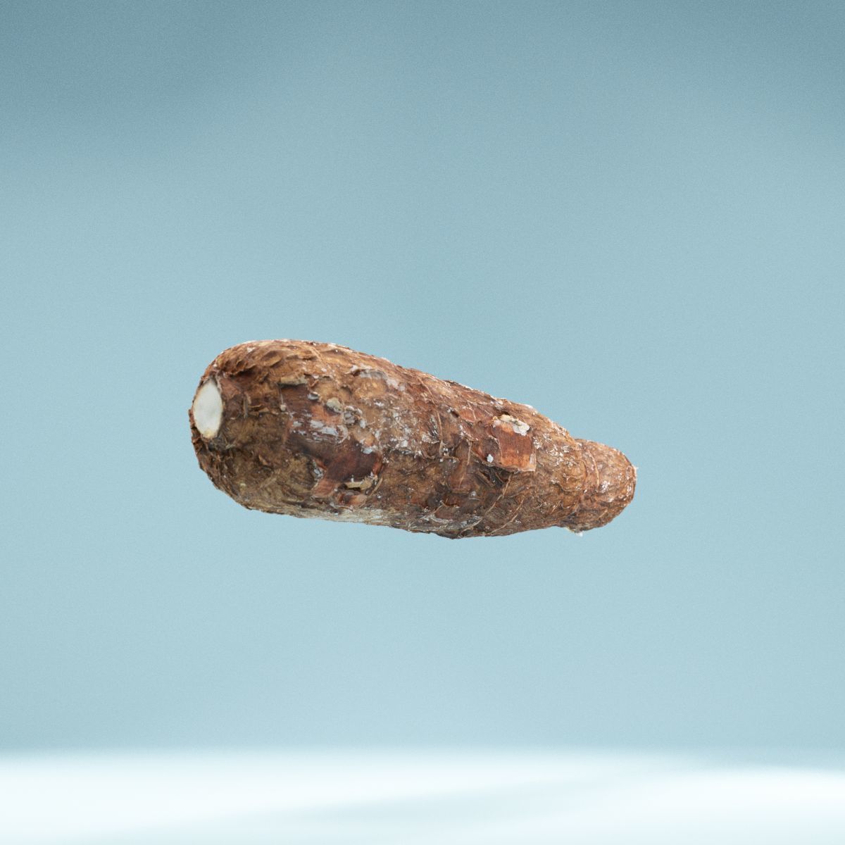 Cassava Manioc Low-poly 3D model_2