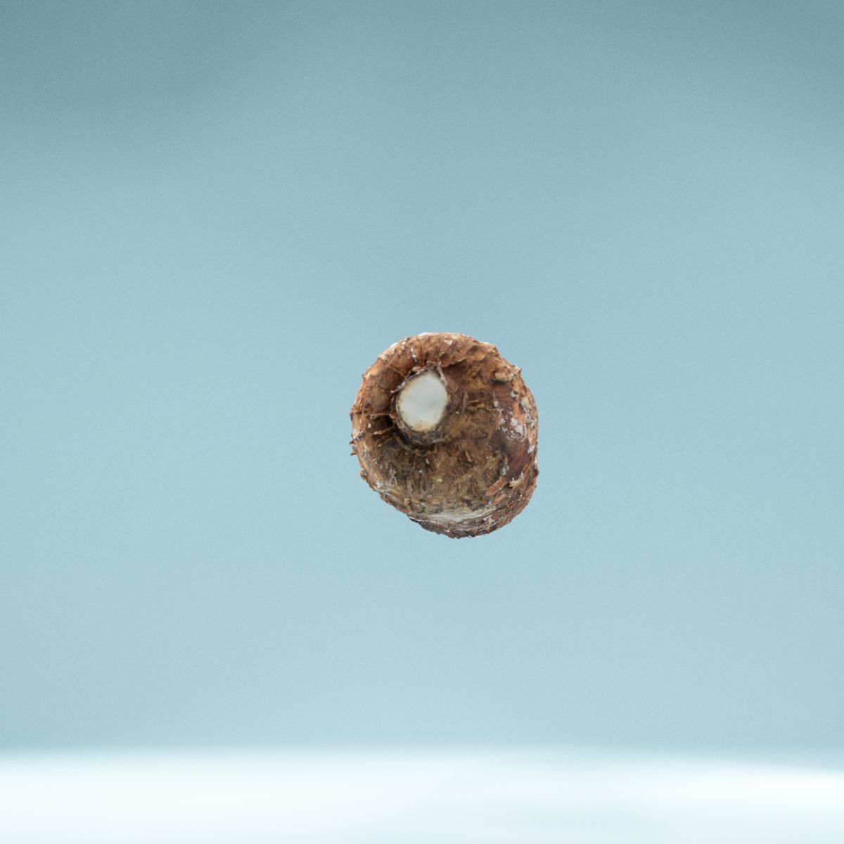 Cassava Manioc Low-poly 3D model_3