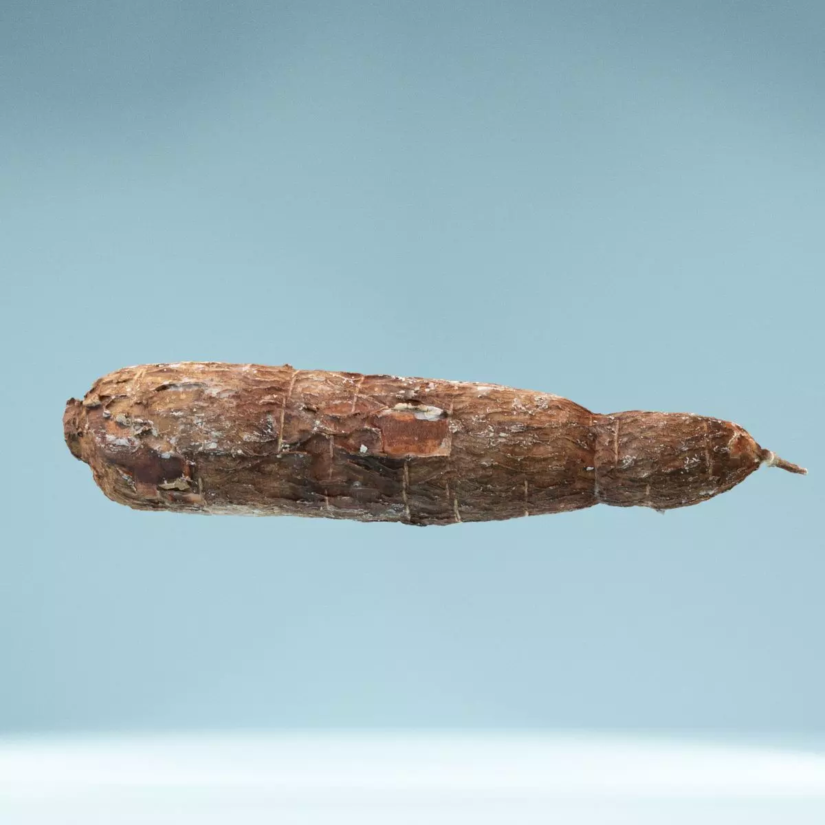 Cassava Manioc Low-poly 3D model_0