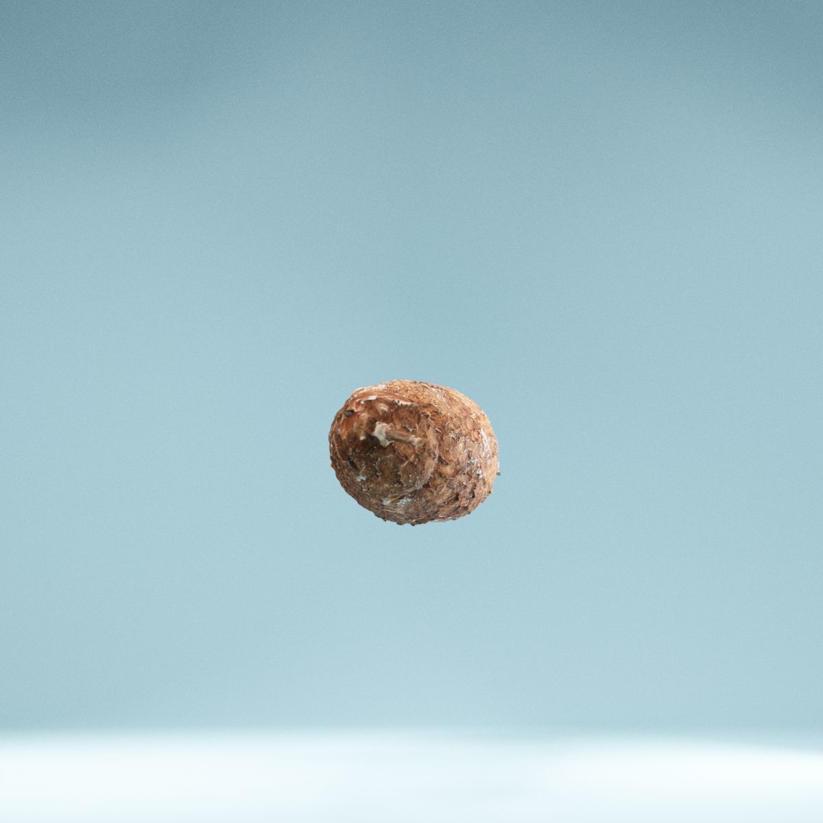 Cassava Manioc Low-poly 3D model_9