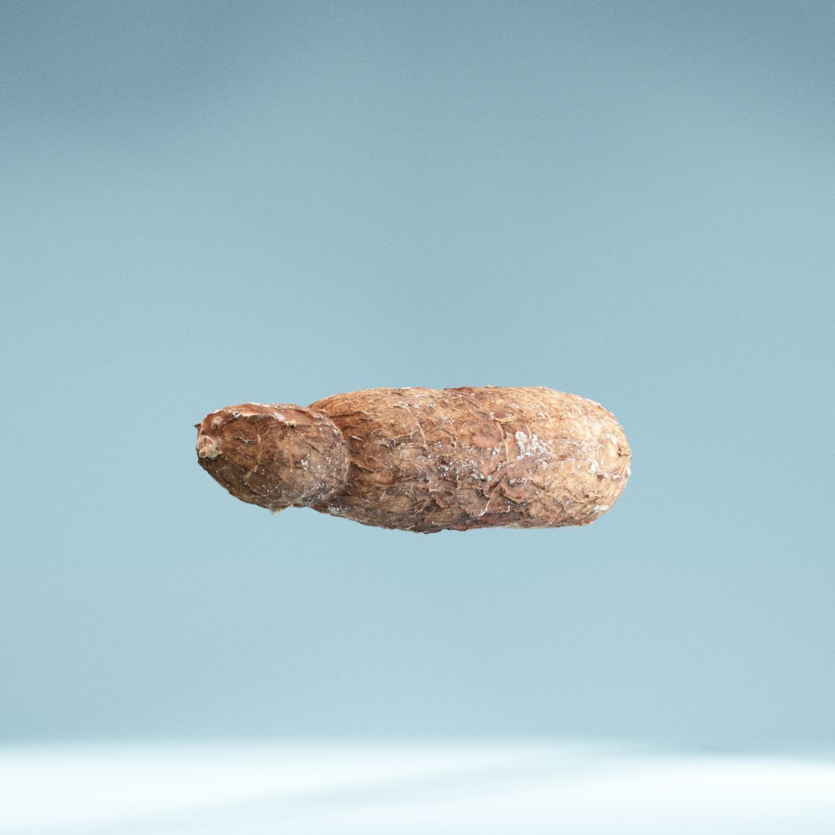 Cassava Manioc Low-poly 3D model_8