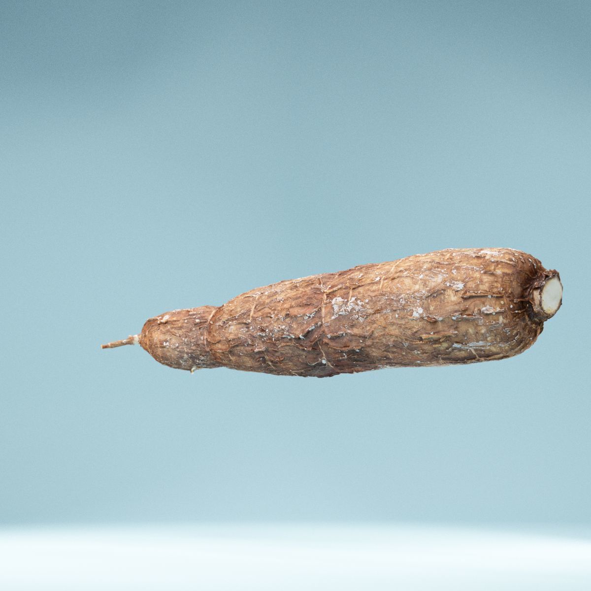 Cassava Manioc Low-poly 3D model_5