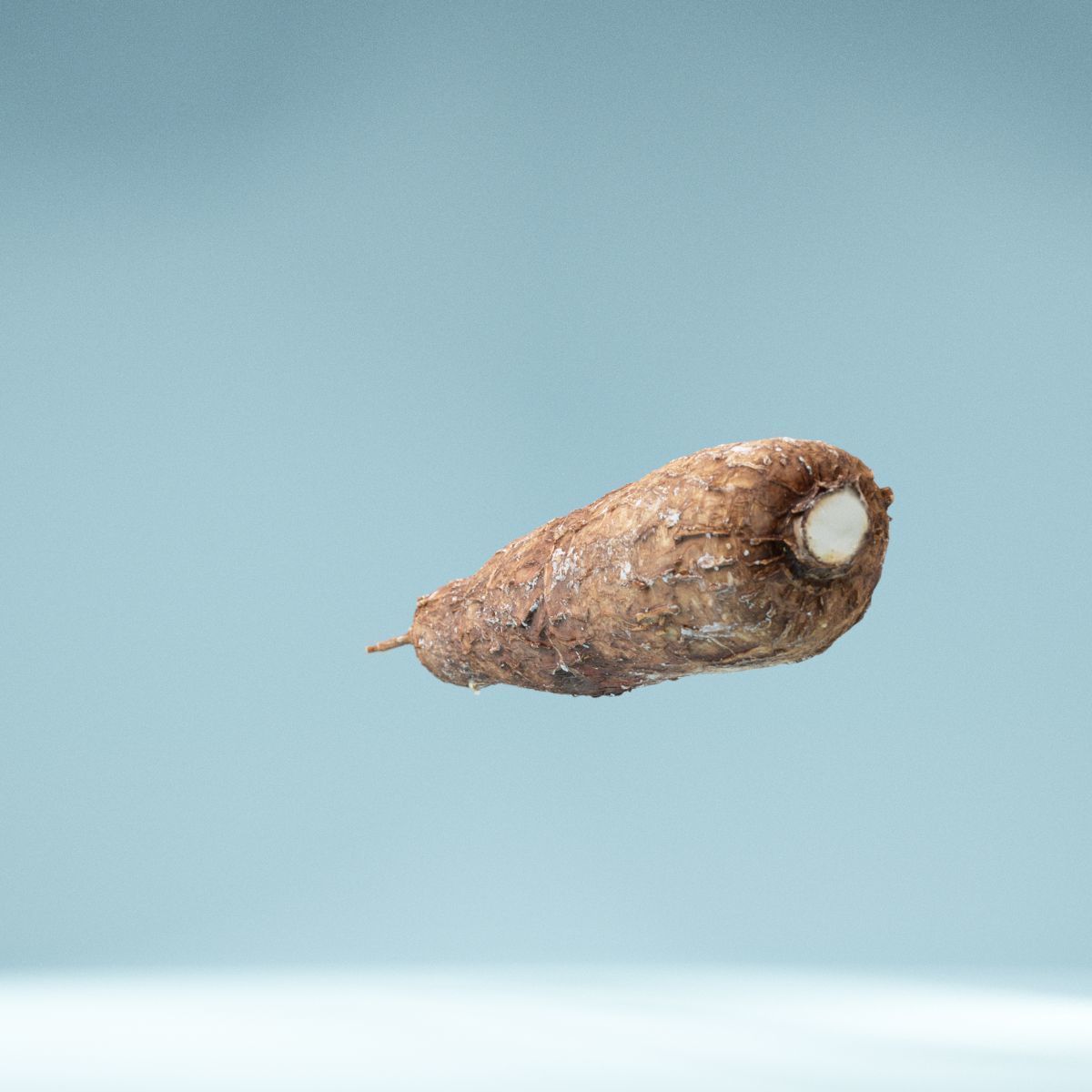 Cassava Manioc Low-poly 3D model_4