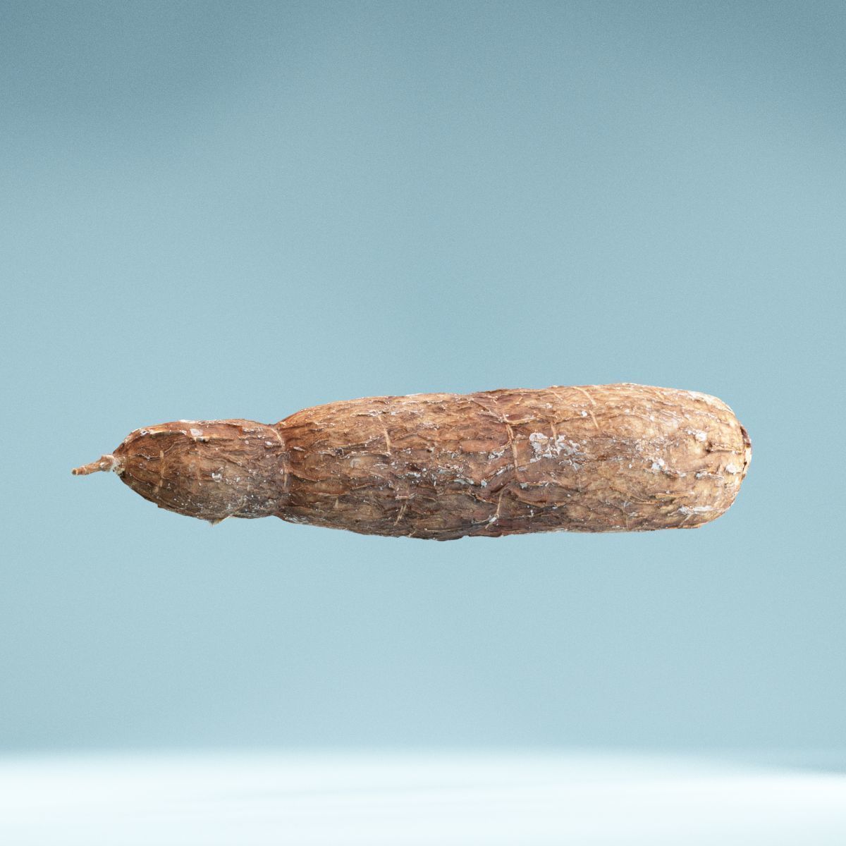 Cassava Manioc Low-poly 3D model_7