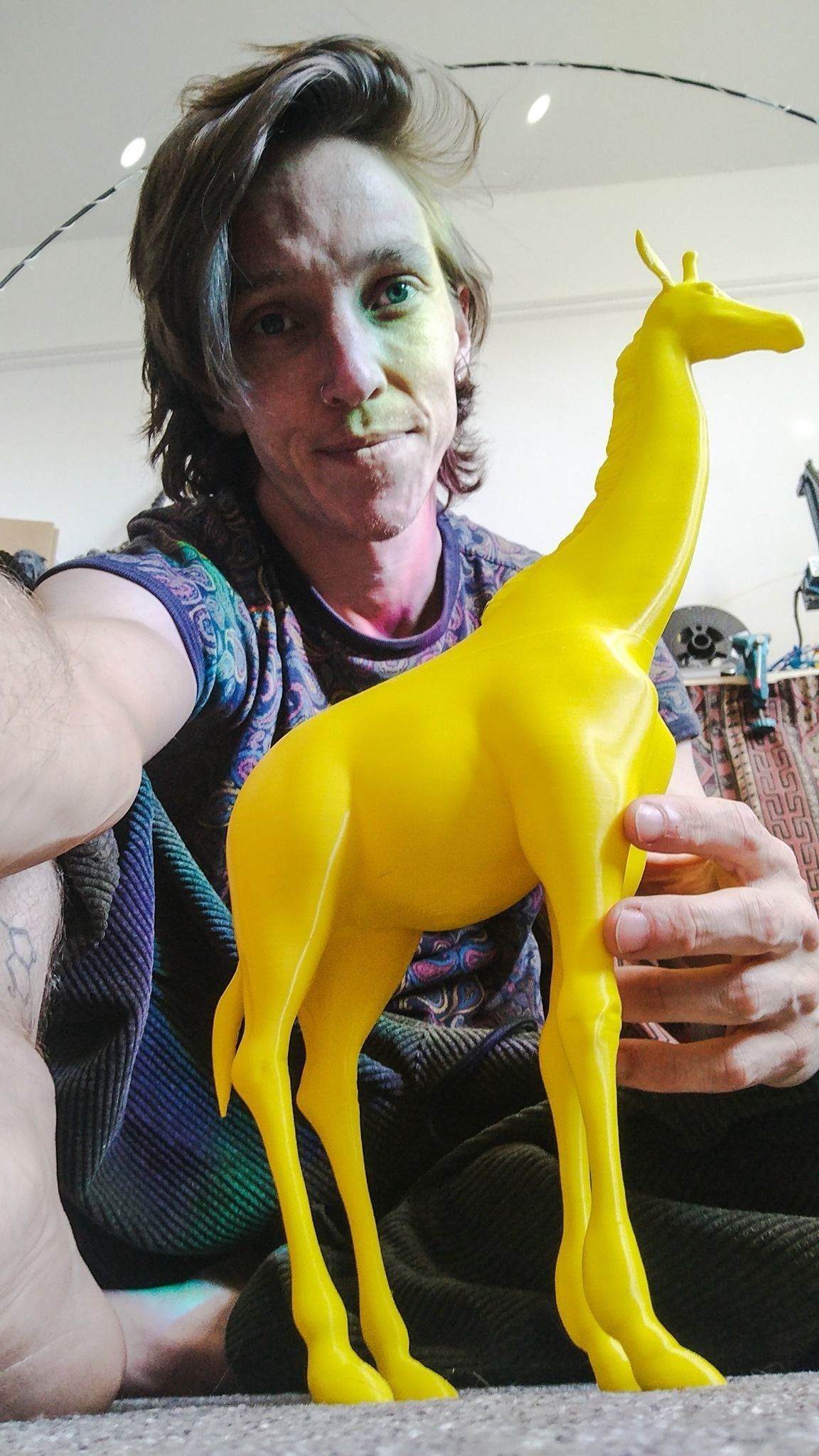 Giraffo giraffe 3D model_1