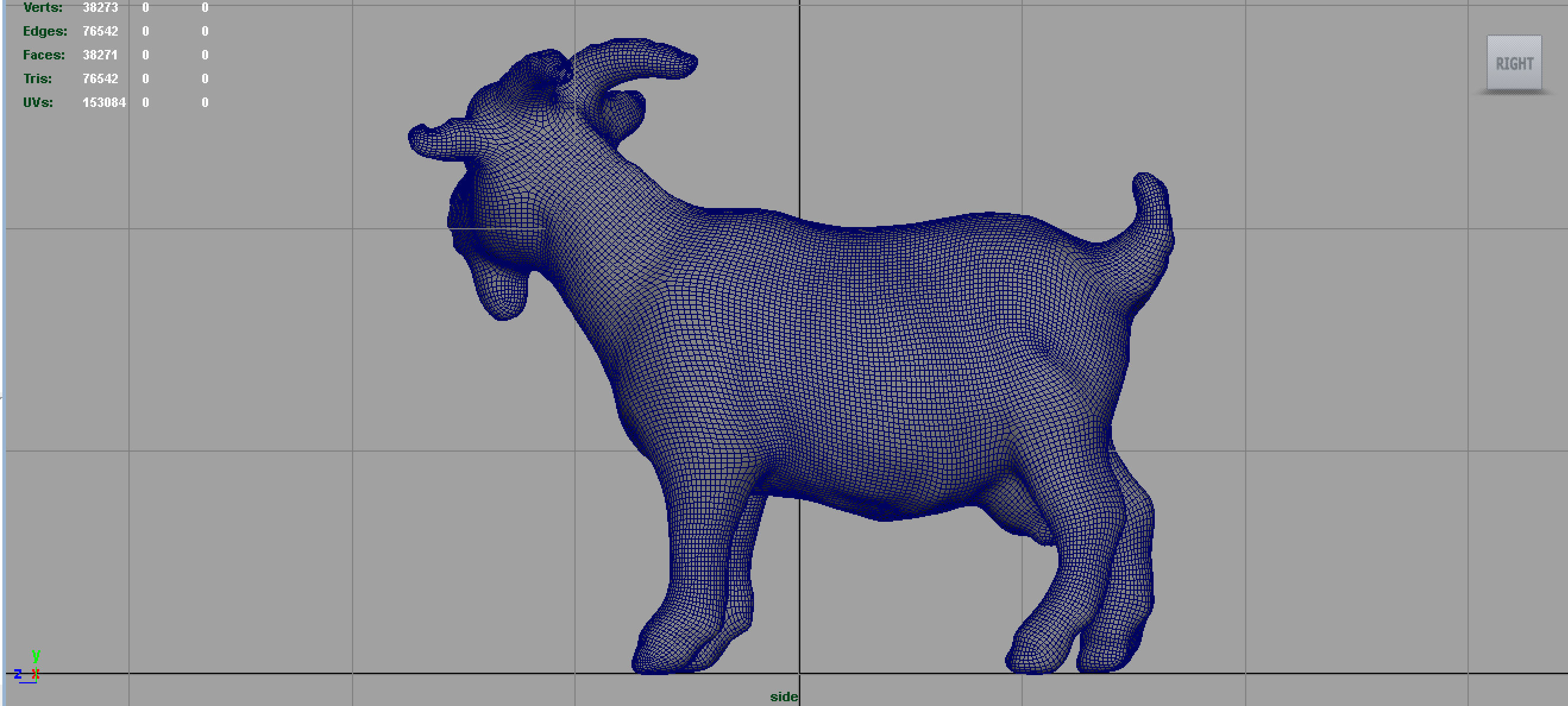 REALISTIC GOAT 3D model_9