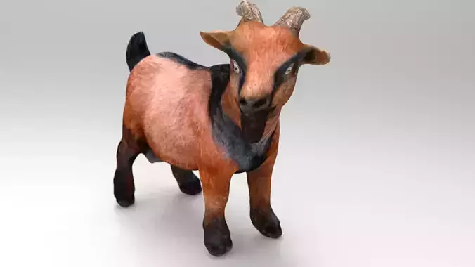 REALISTIC GOAT