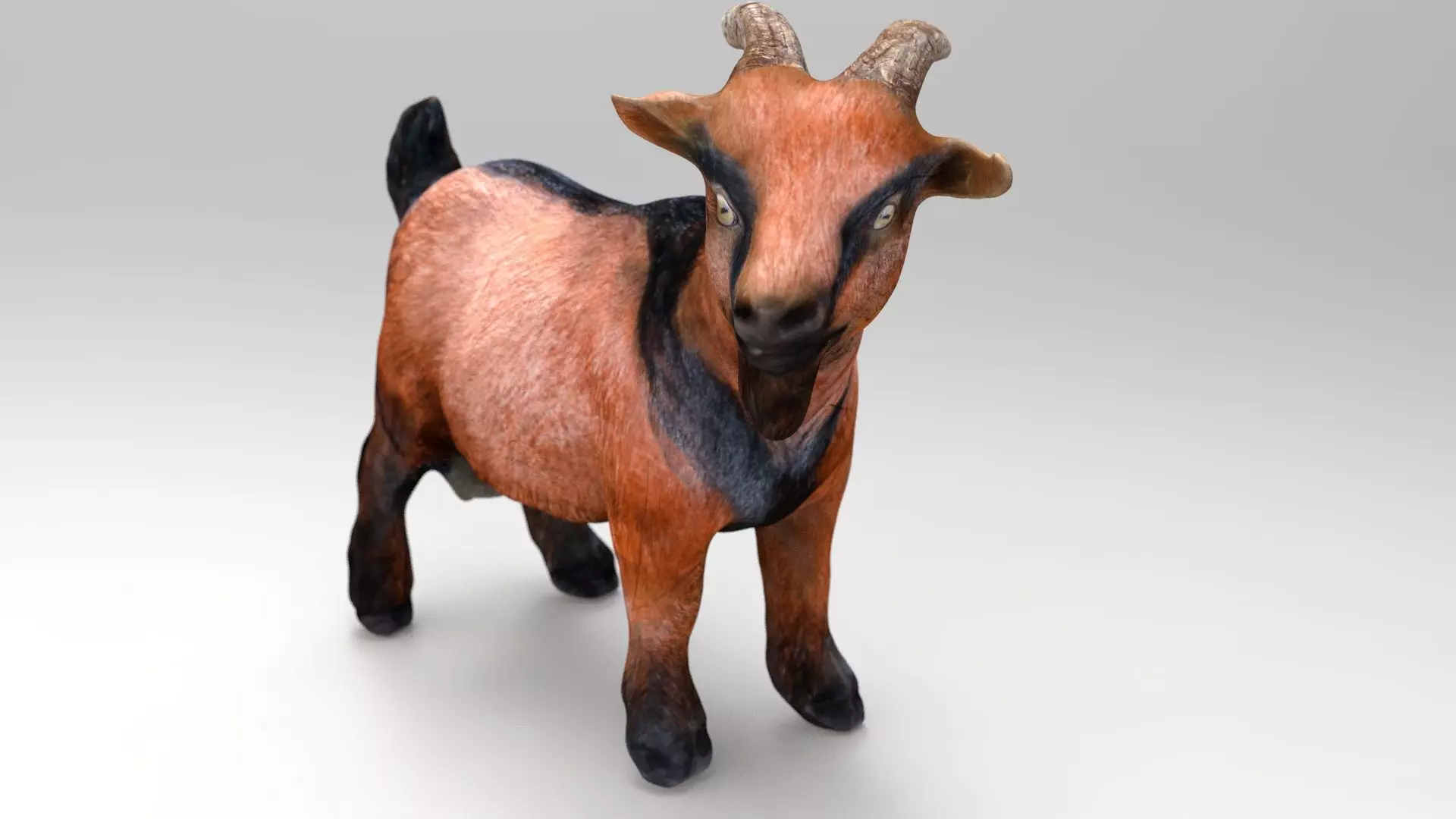 REALISTIC GOAT 3D model_0