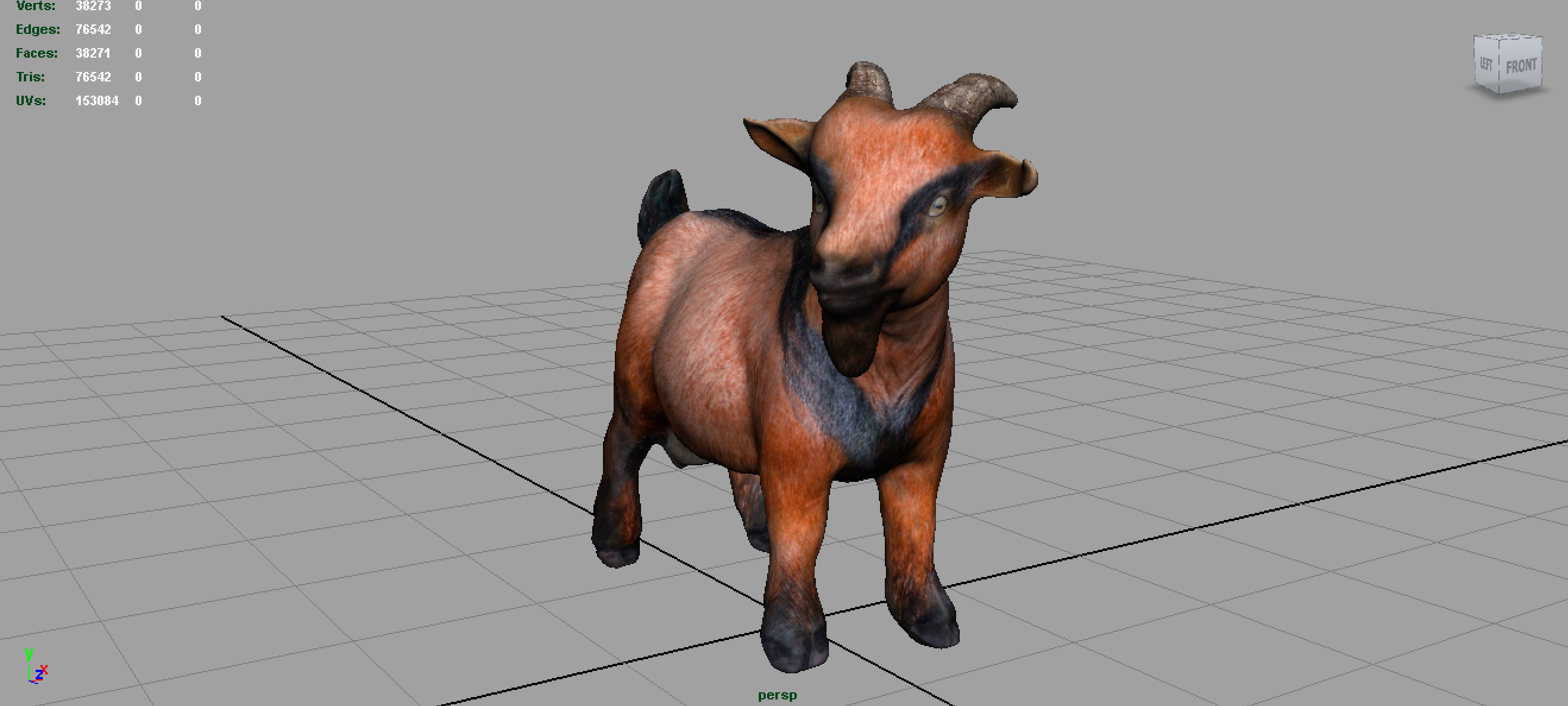 REALISTIC GOAT 3D model_2