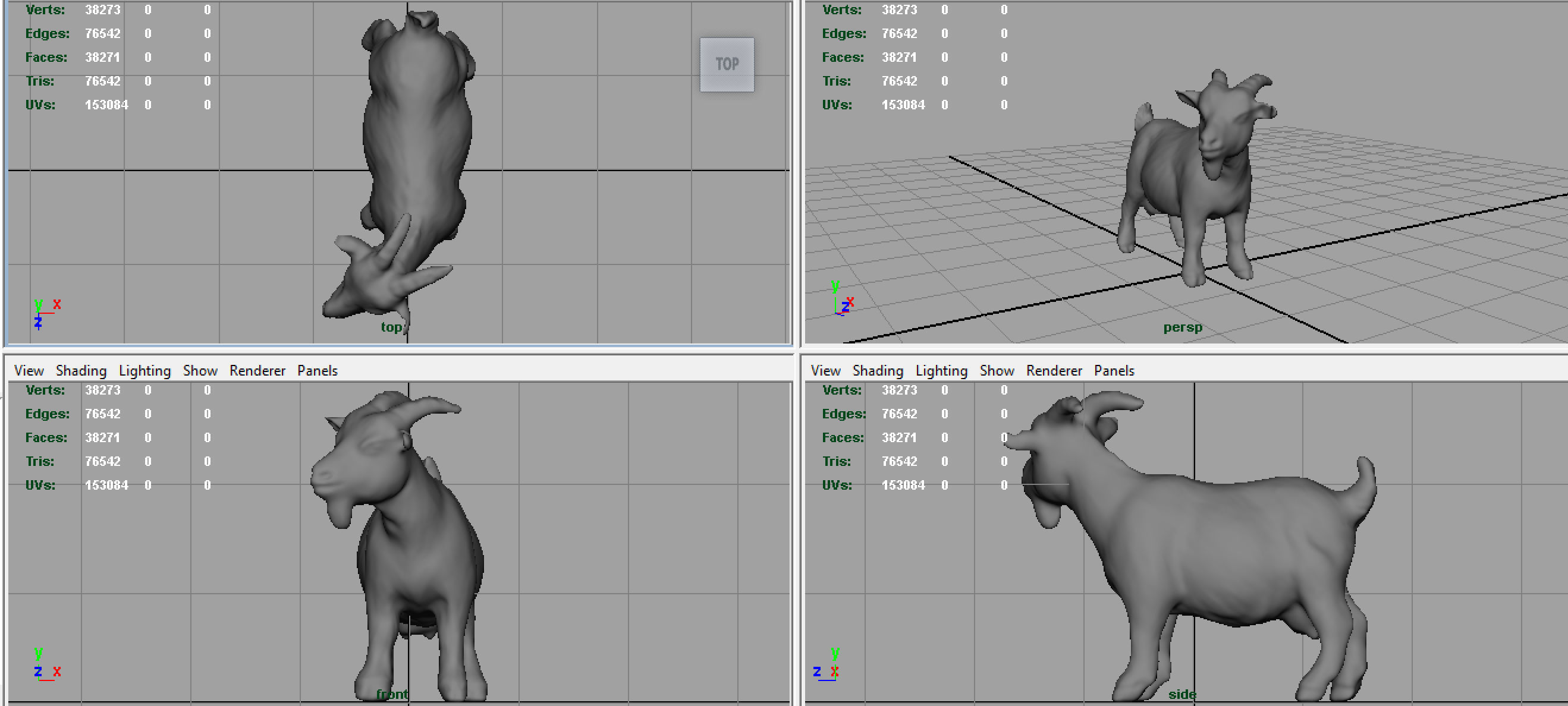 REALISTIC GOAT 3D model_6