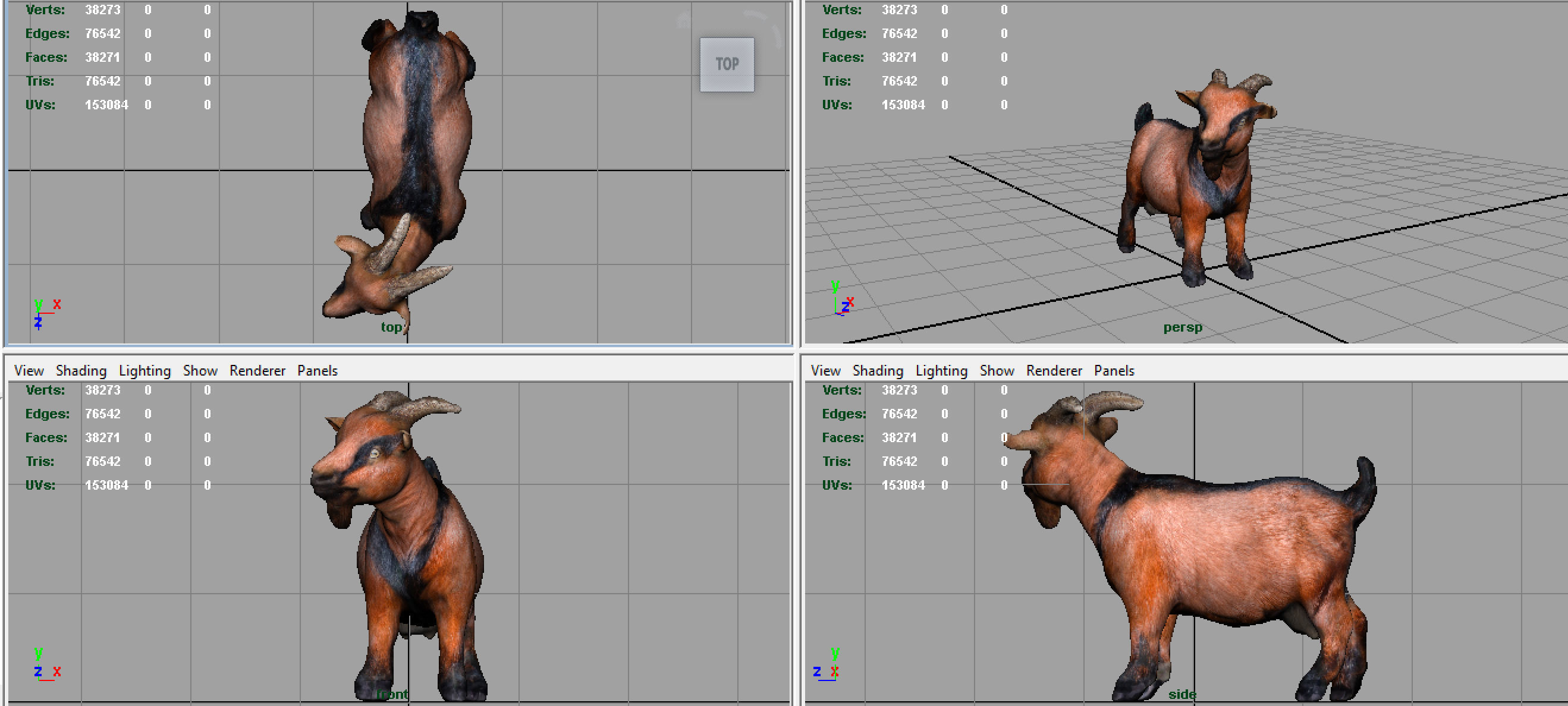 REALISTIC GOAT 3D model_5