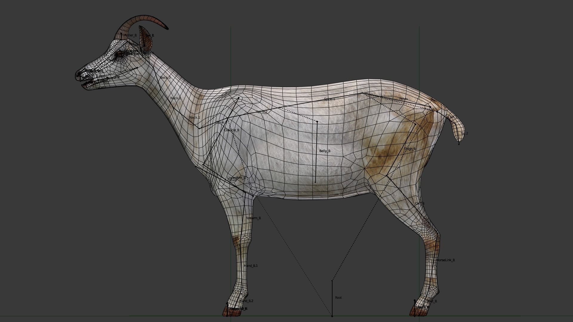 Saanen goat Low-poly 3D model_4