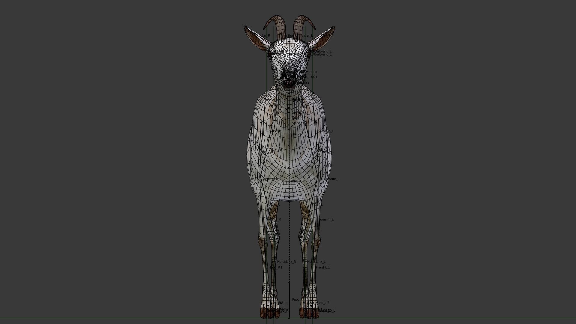 Saanen goat Low-poly 3D model_6