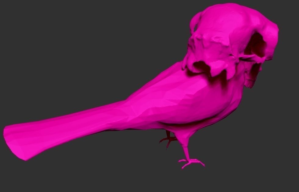 TROPIKULL bird with skull 3D print model_1