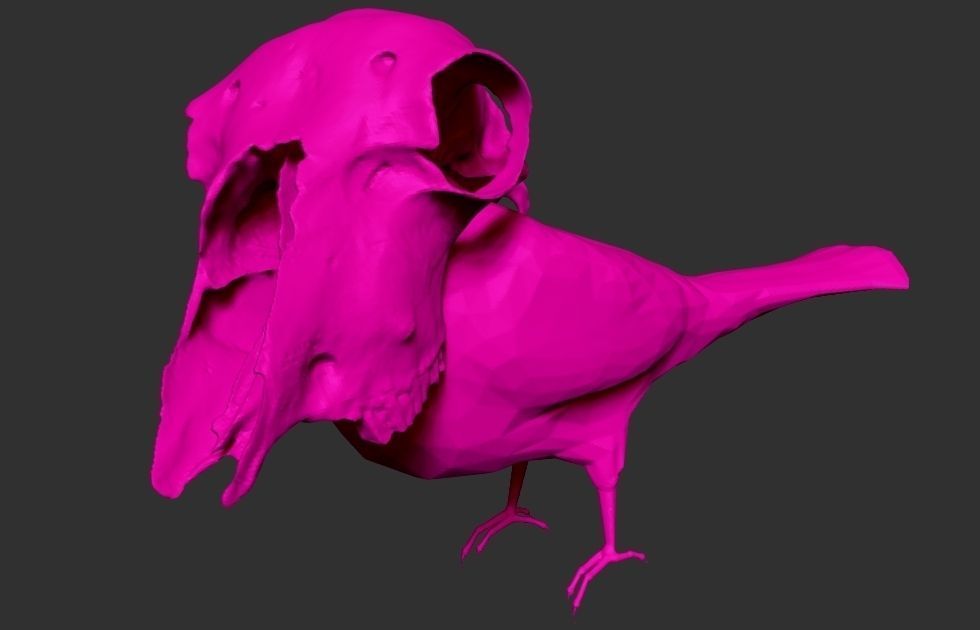 TROPIKULL bird with skull 3D print model_3