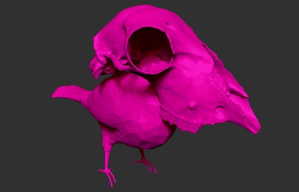 TROPIKULL bird with skull 3D print model_2