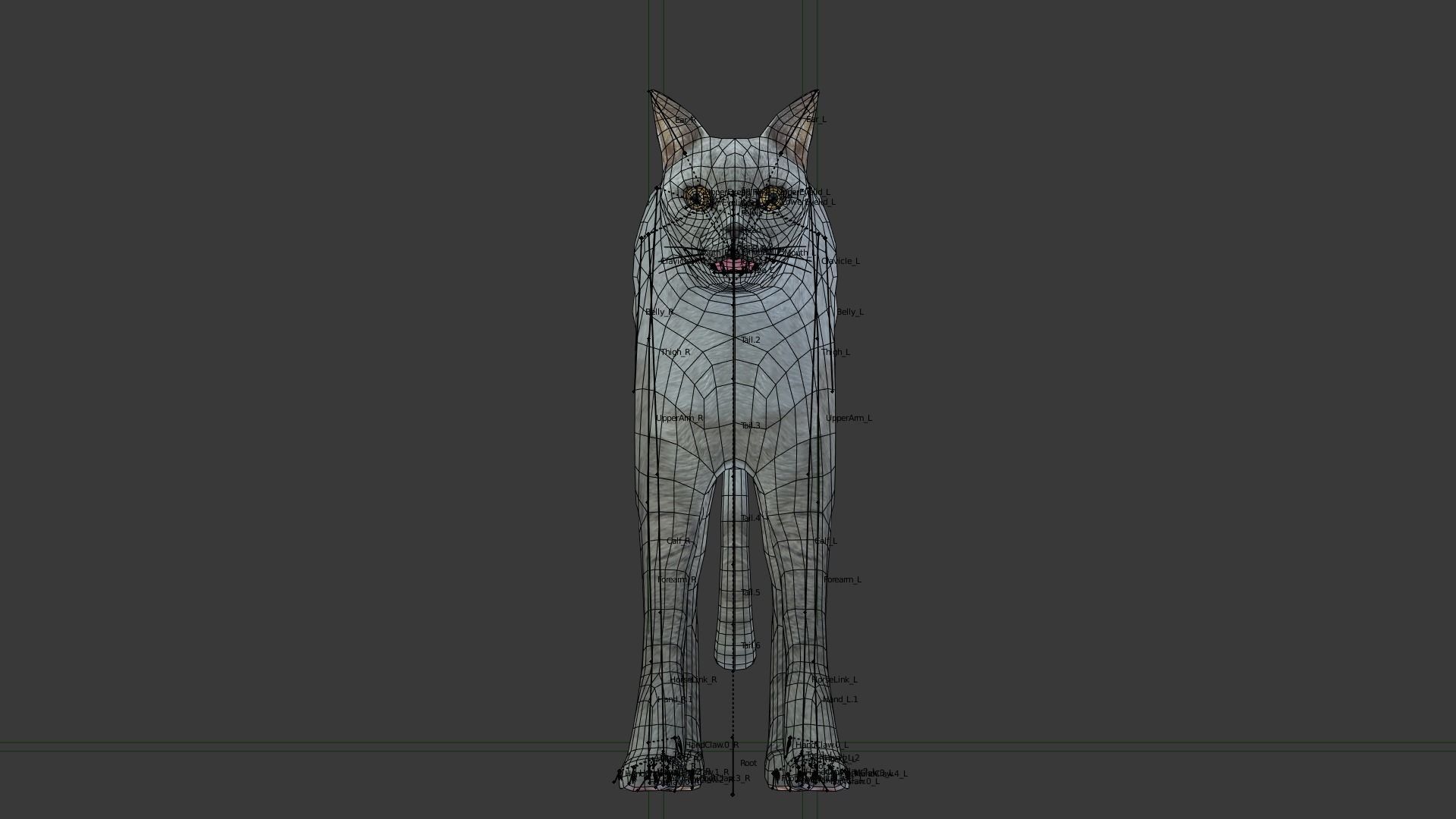 Gray cat Low-poly 3D model_6