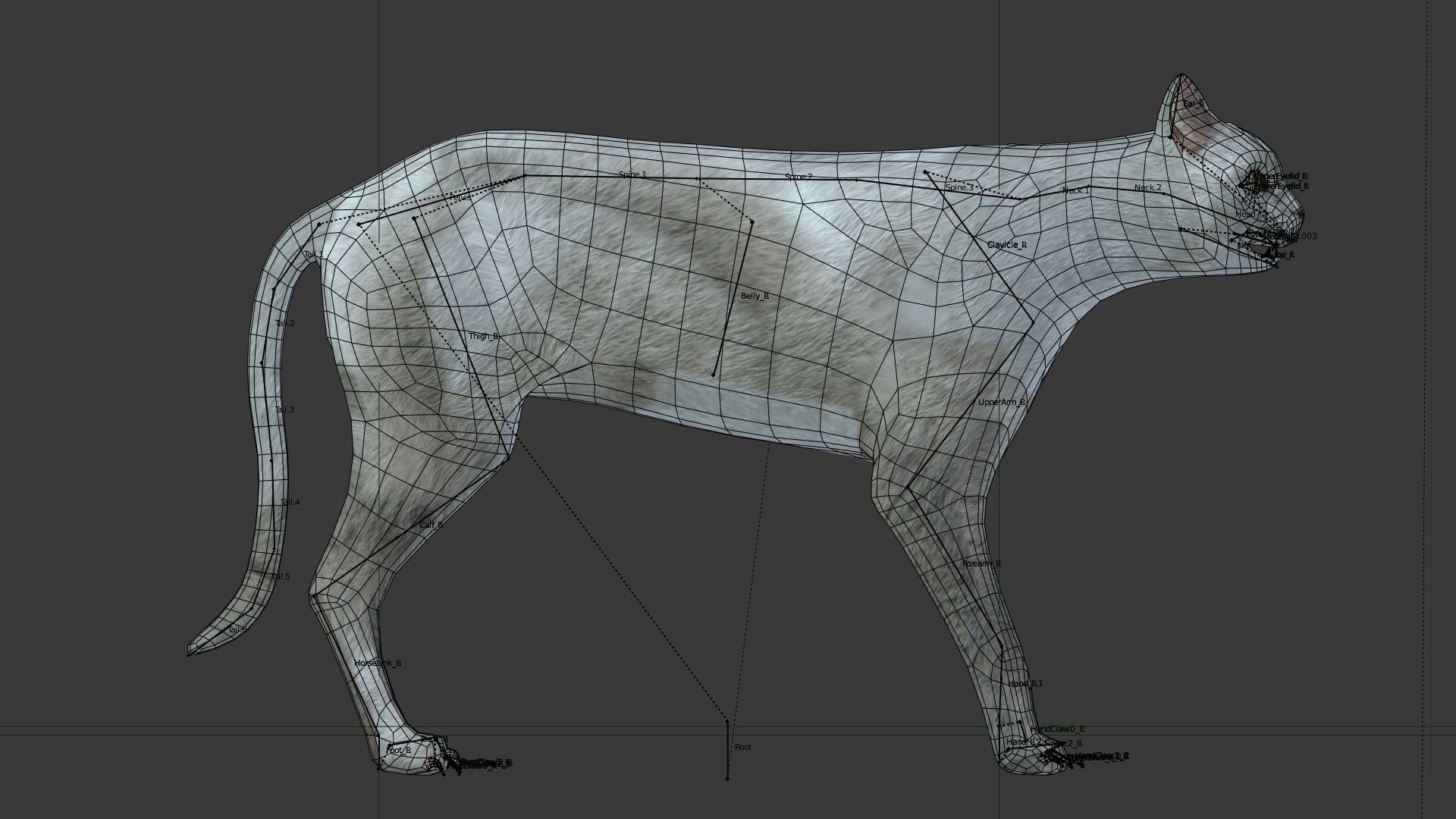 Gray cat Low-poly 3D model_4