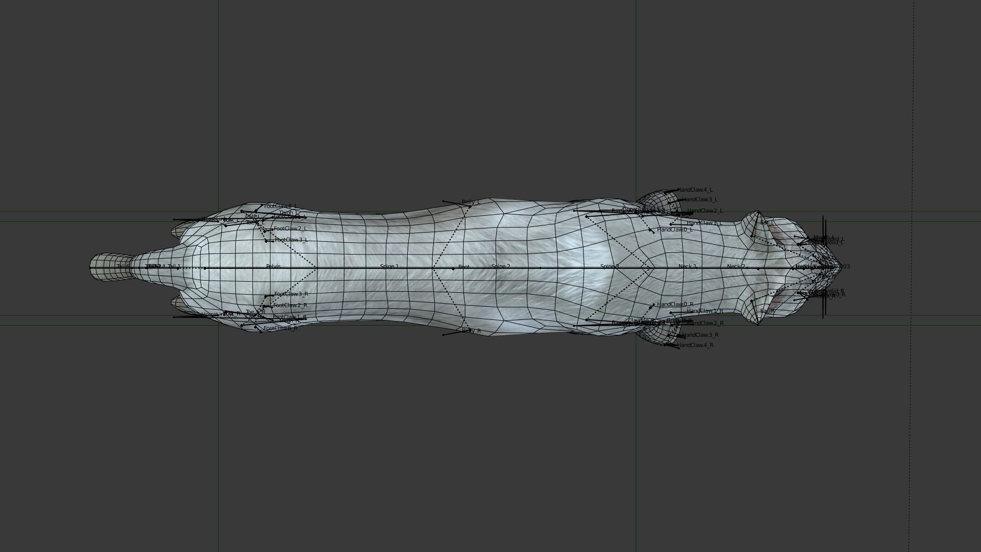 Gray cat Low-poly 3D model_5