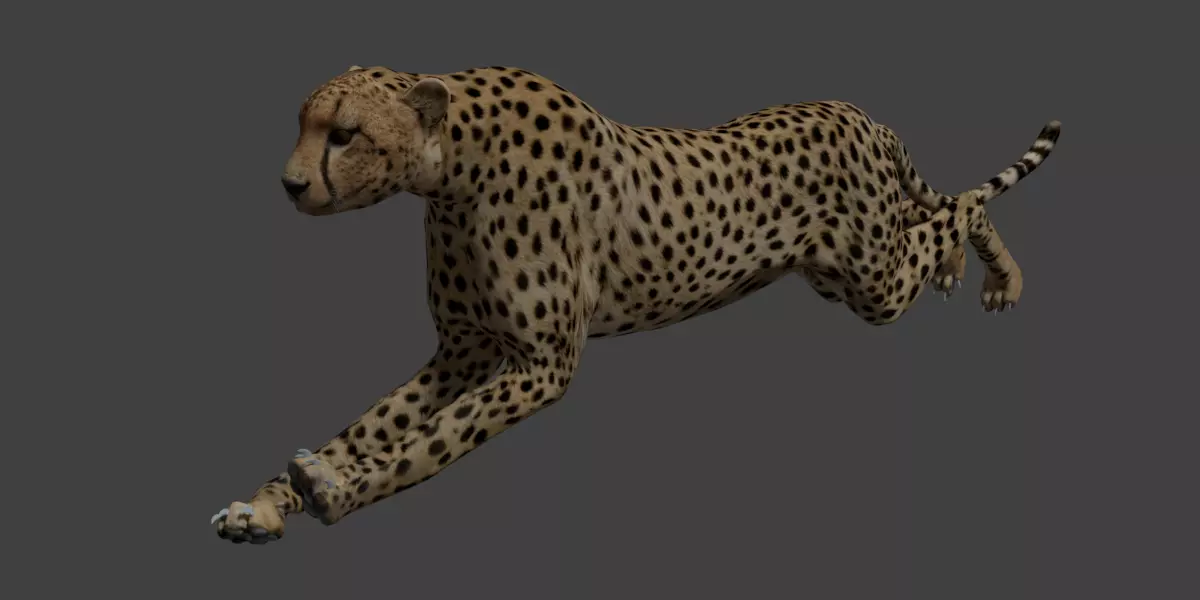 Cheetah running Low-poly 3D model_0