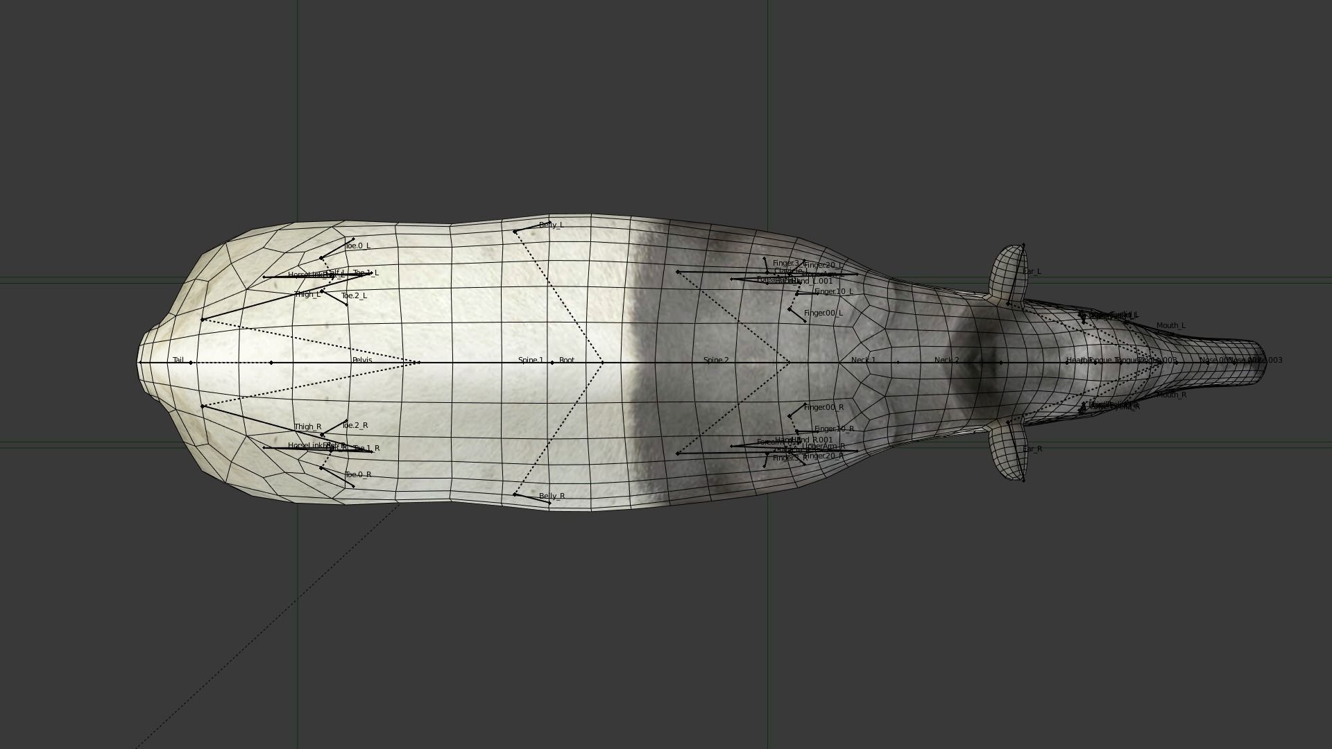 Tapir Low-poly 3D model_6