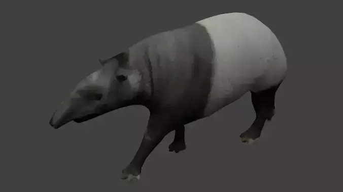 Tapir
