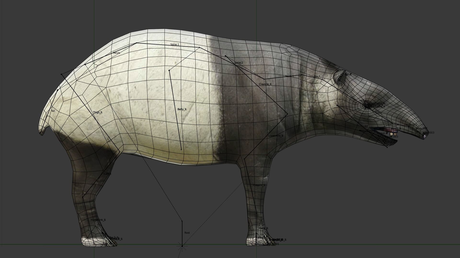 Tapir Low-poly 3D model_5