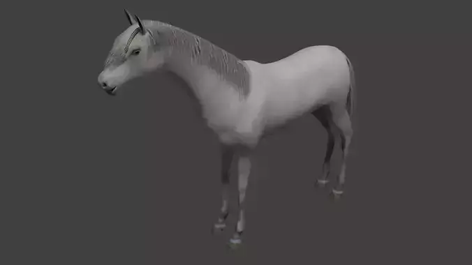 Horse running