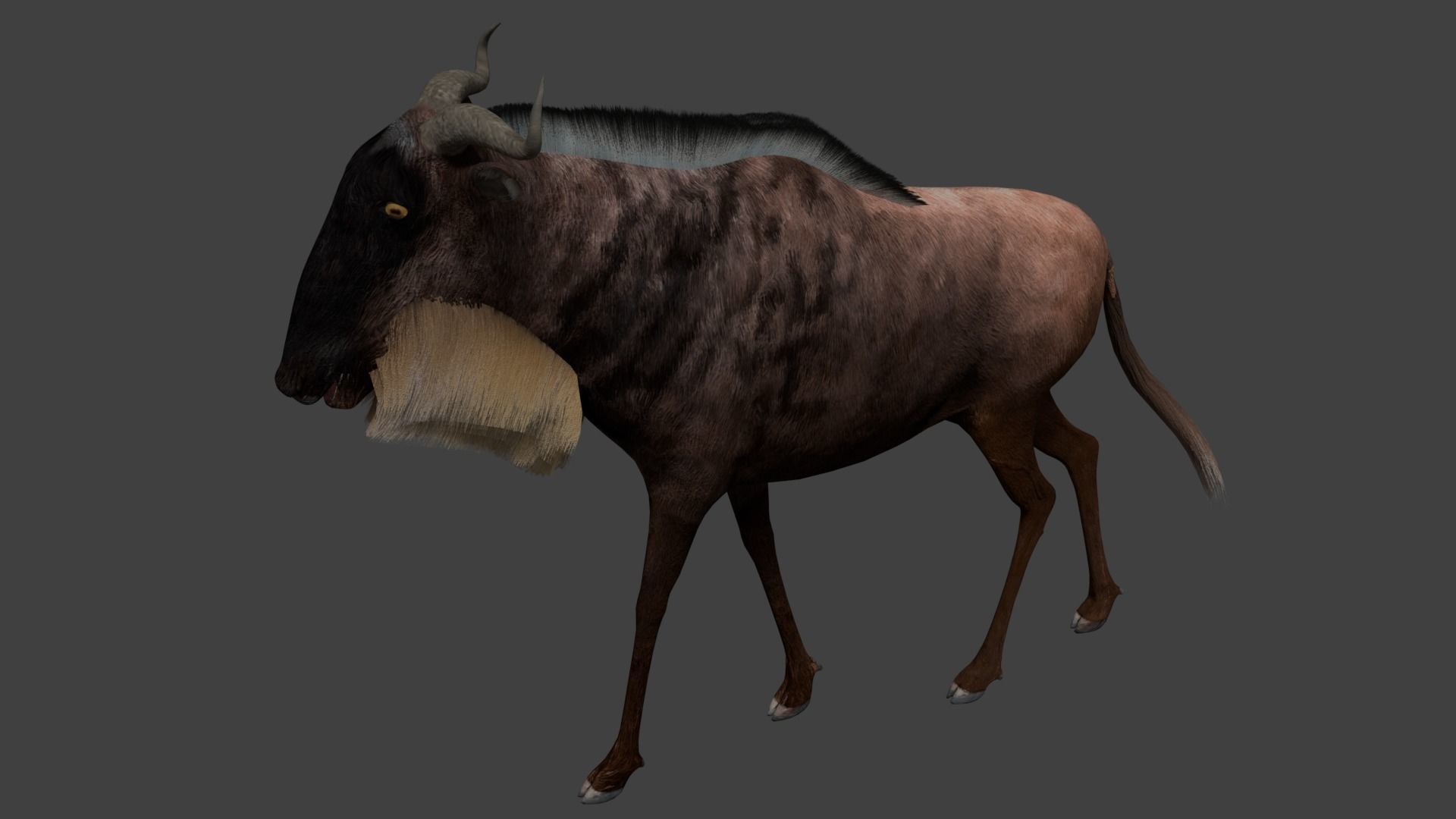 Wildebeest Low-poly 3D model_3