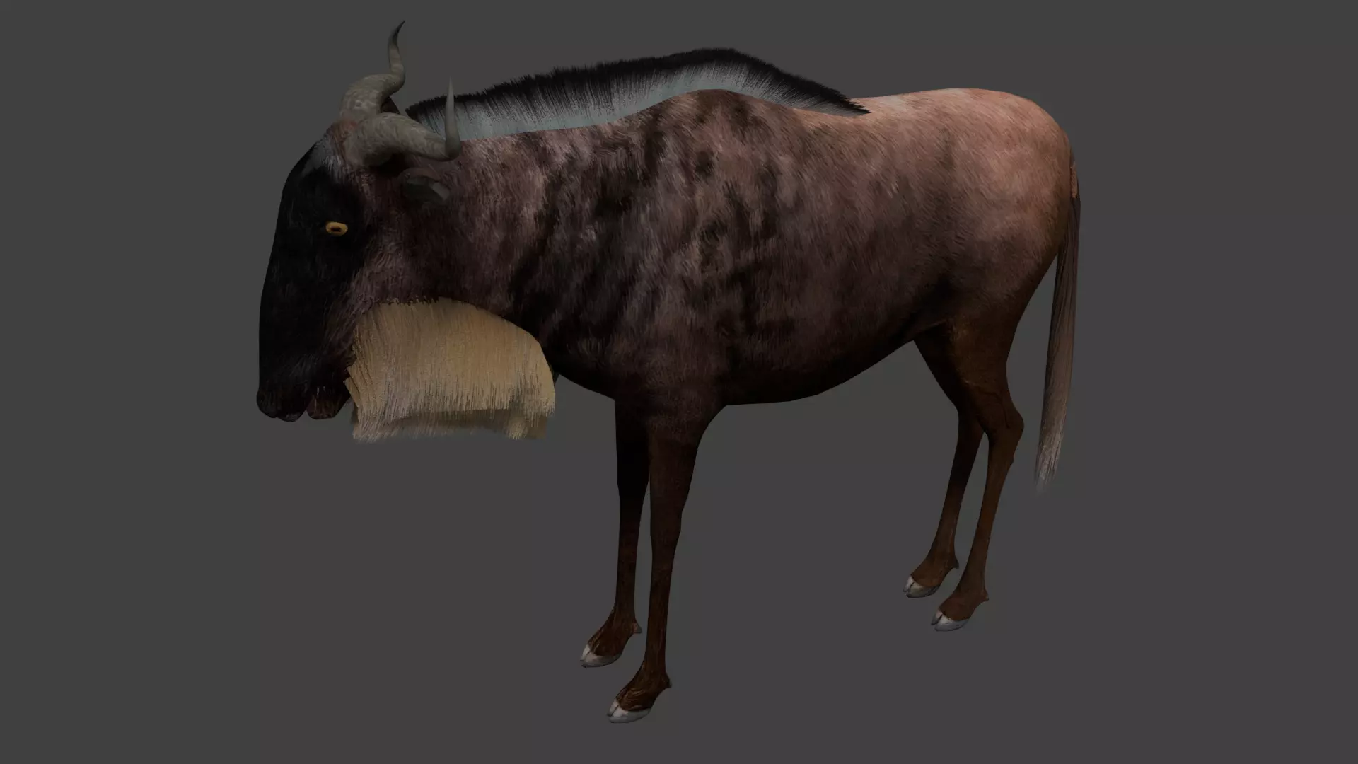 Wildebeest Low-poly 3D model_0