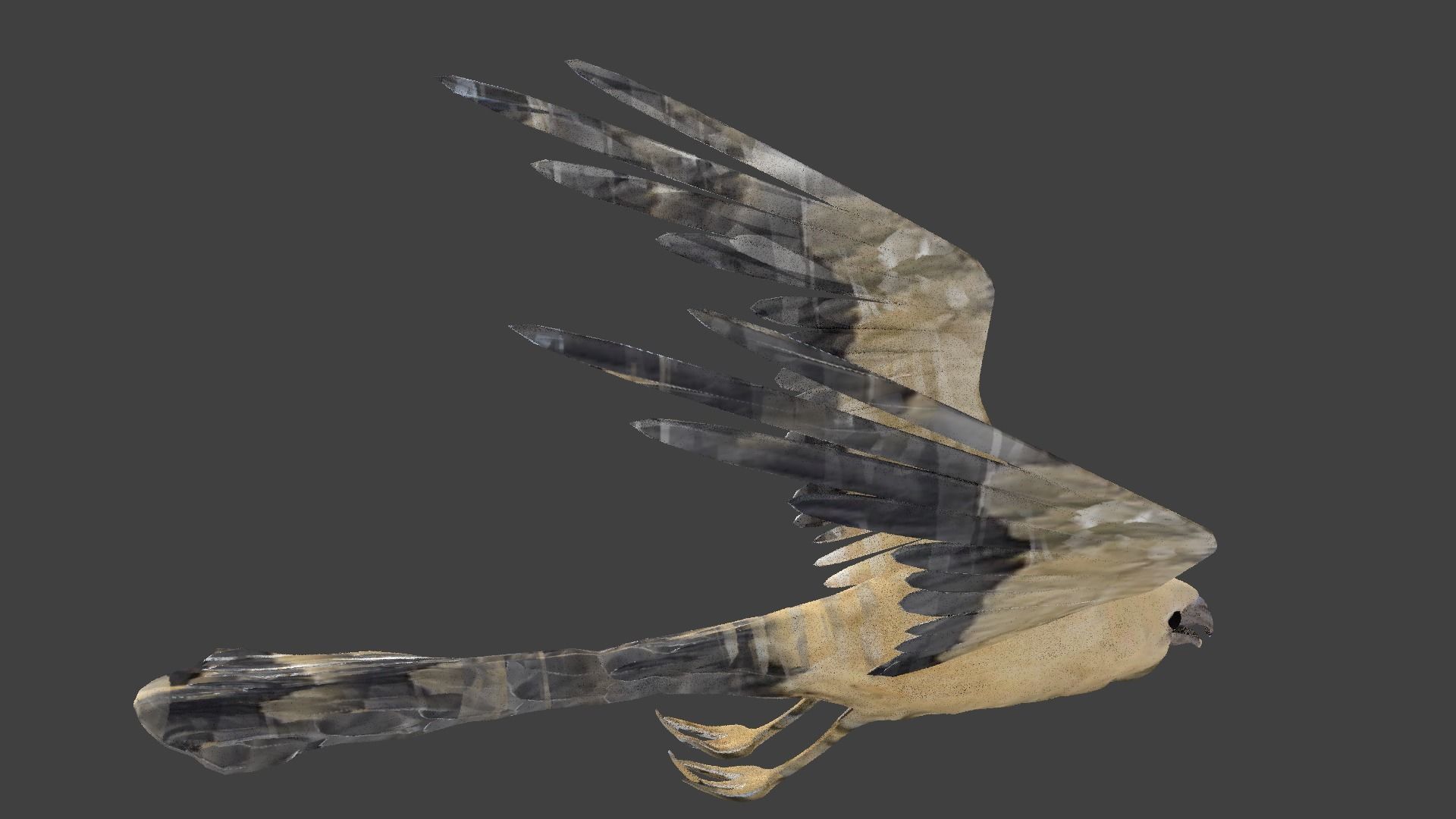 kite animated Low-poly 3D model_9