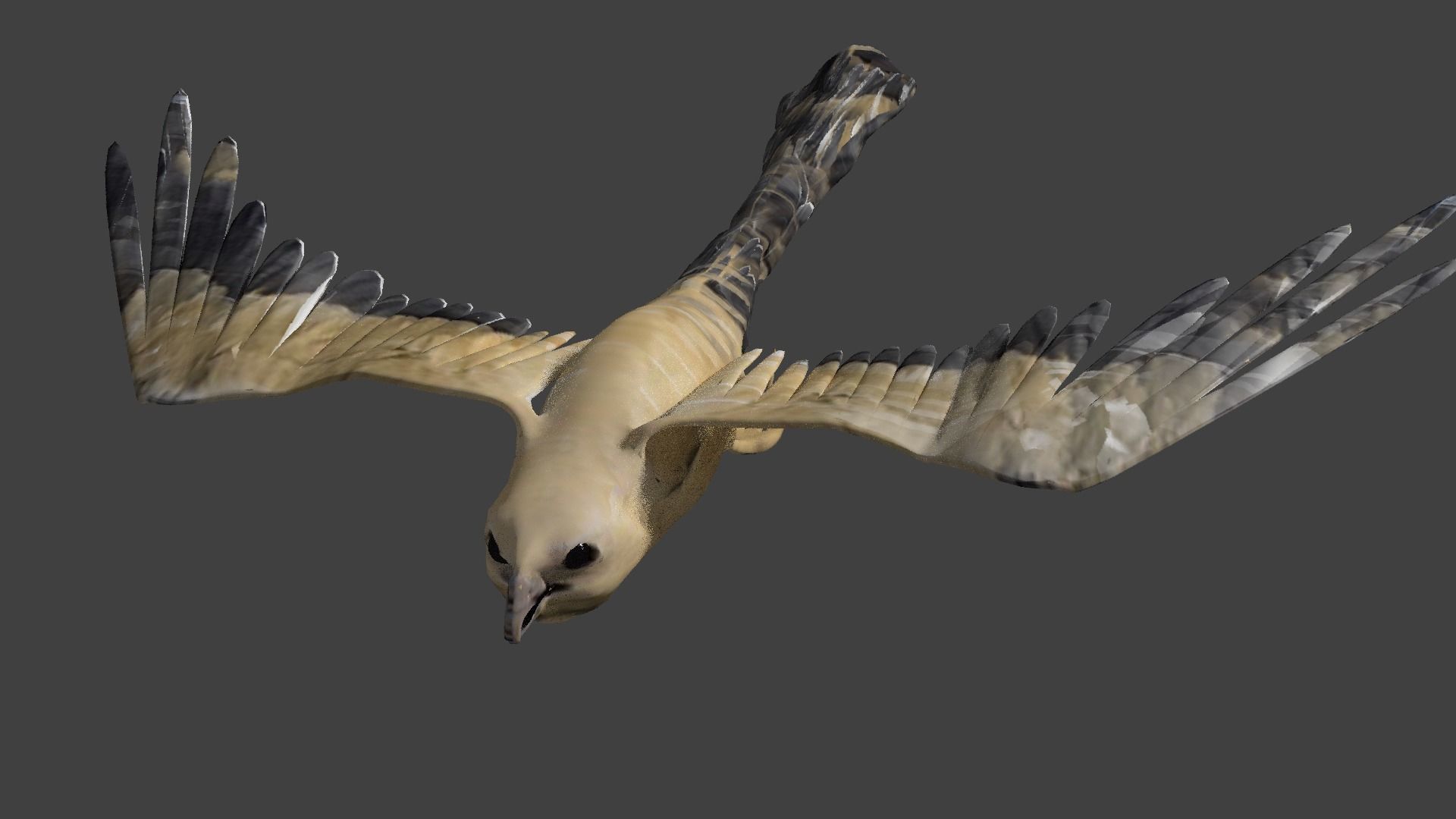 kite animated Low-poly 3D model_8