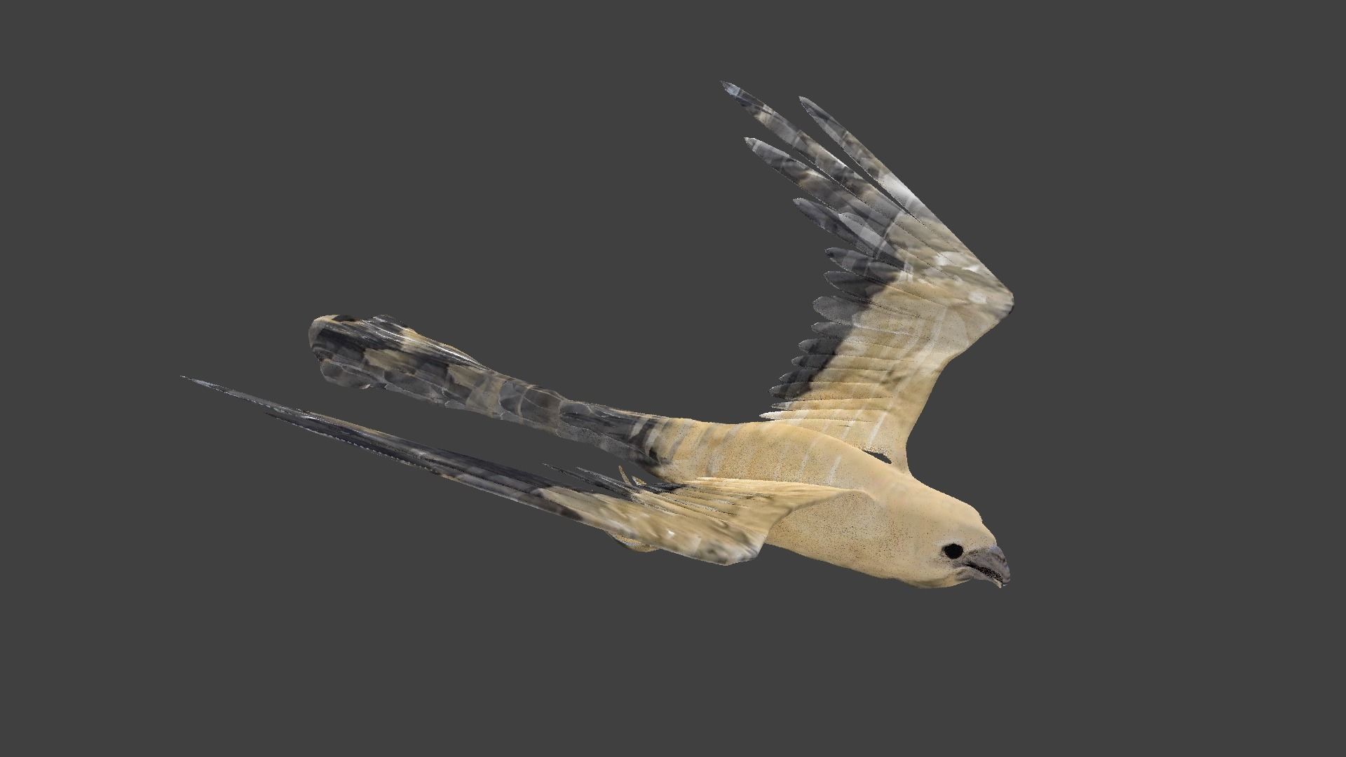 kite animated Low-poly 3D model_6