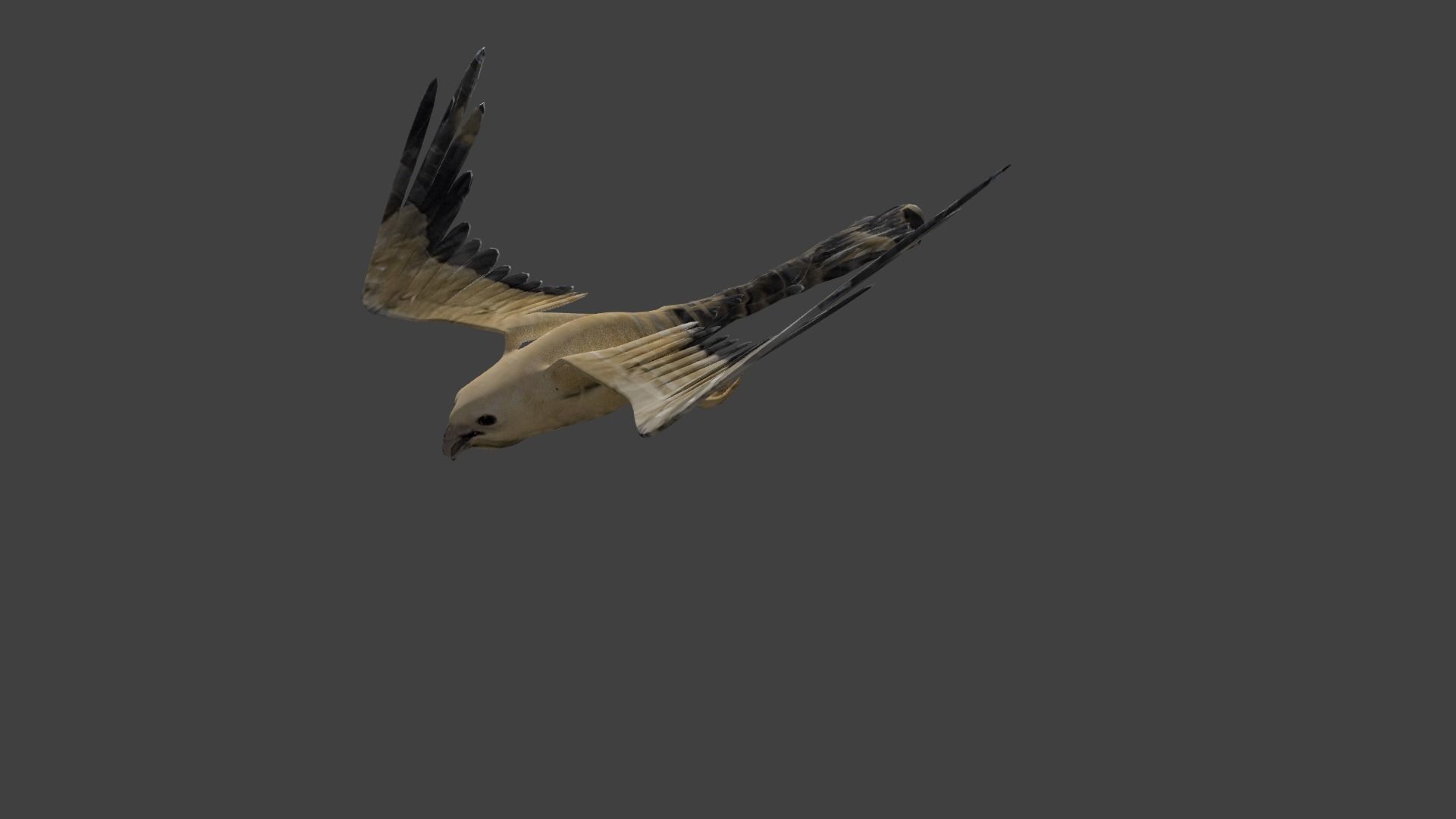 kite animated Low-poly 3D model_2