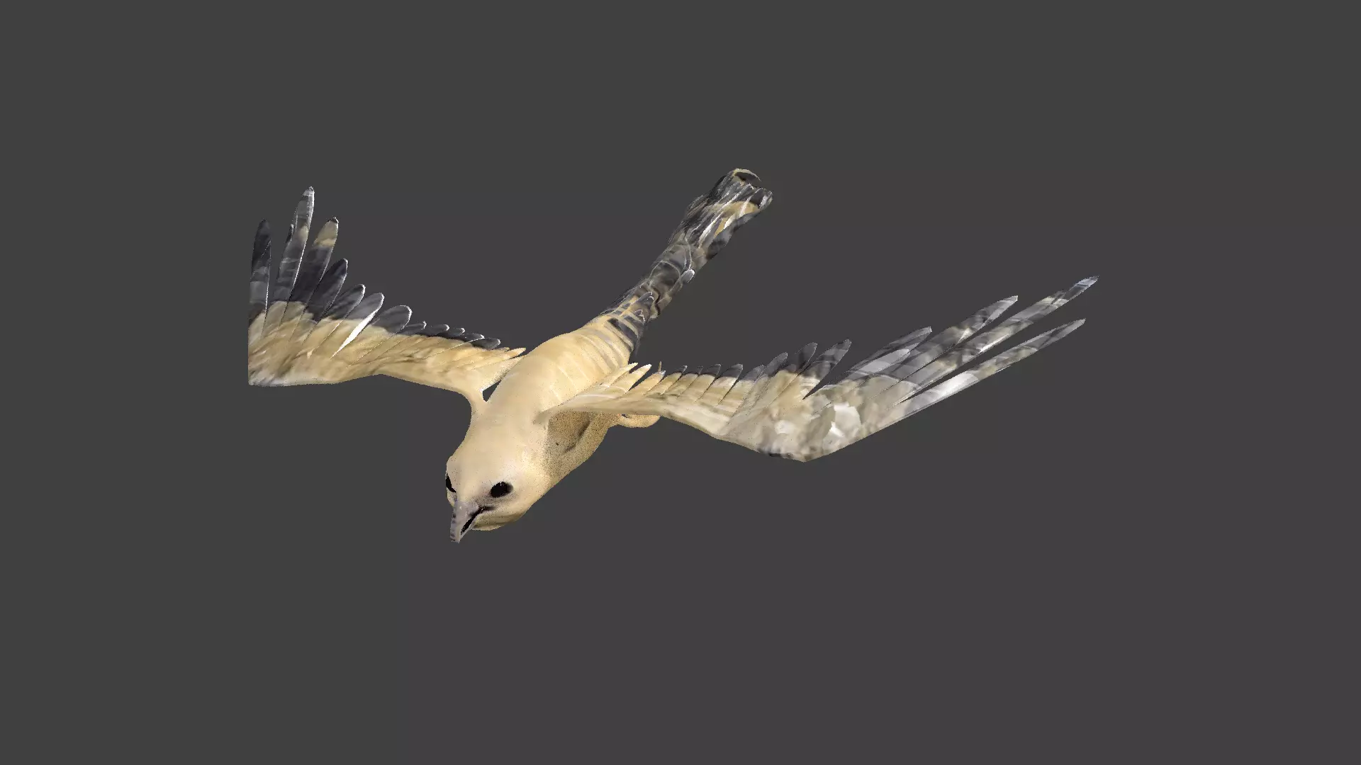 kite animated Low-poly 3D model_0