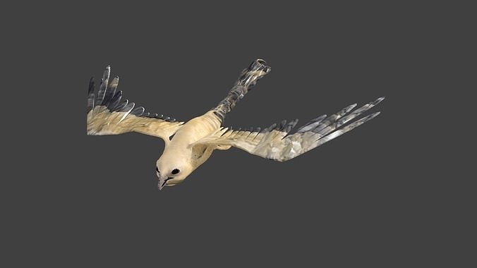 kite animated Low-poly 3D model