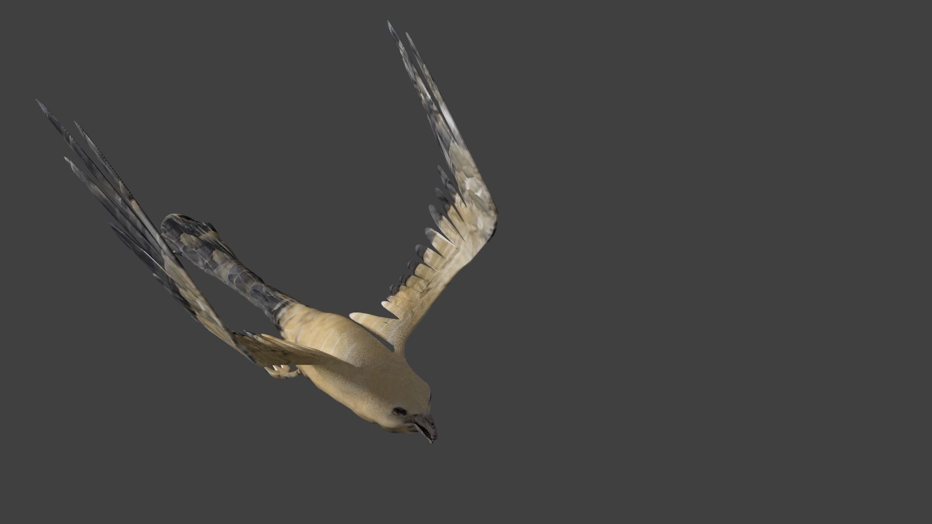 kite animated Low-poly 3D model_4