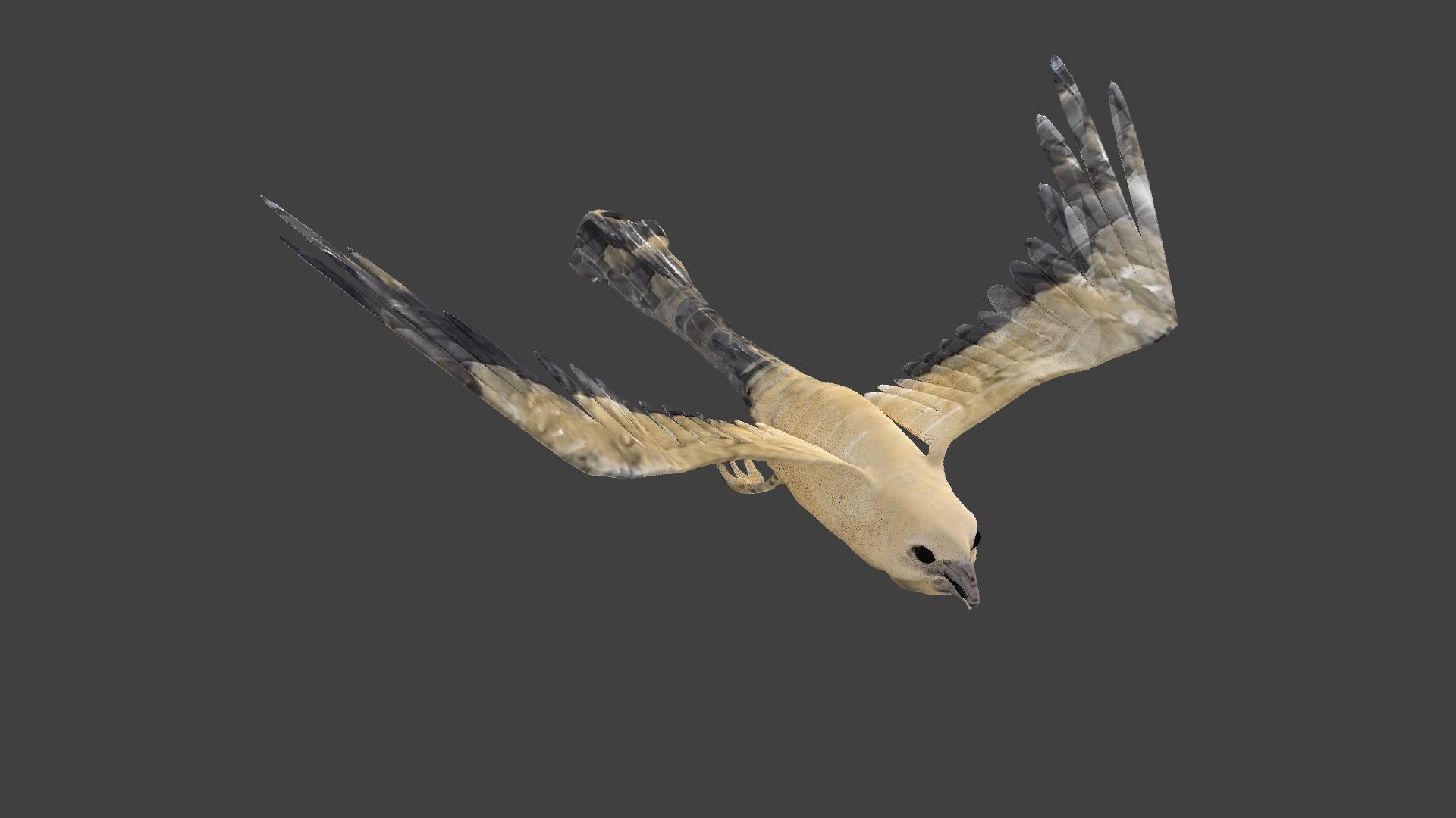 kite animated Low-poly 3D model_5