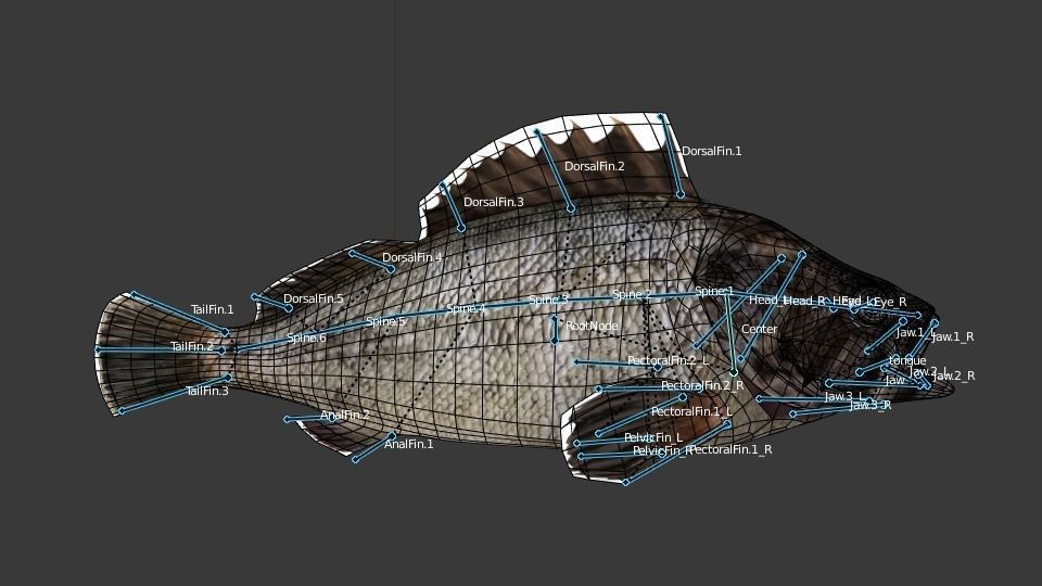 Black rockfish Low-poly 3D model_5