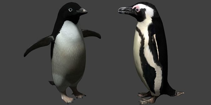 Penguin flying in air Low-poly 3D model
