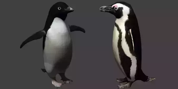 Penguin flying in air Low-poly 3D model