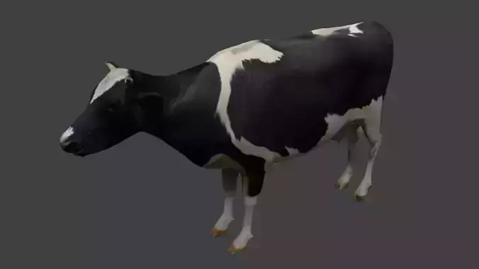Cattle cow Low-poly 3D model
