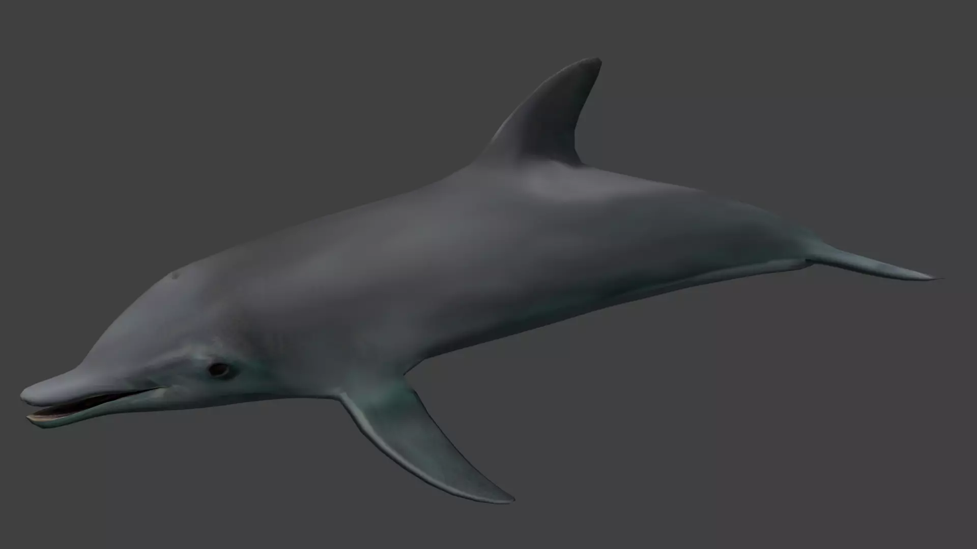 Dolphine dolphin Low-poly 3D model_0