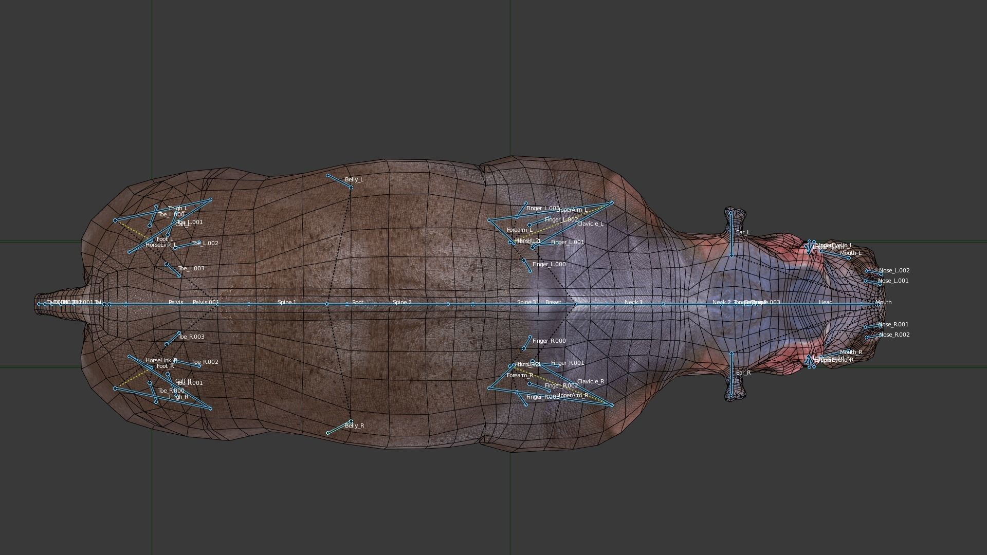 Hippopotamus Low-poly 3D model_5