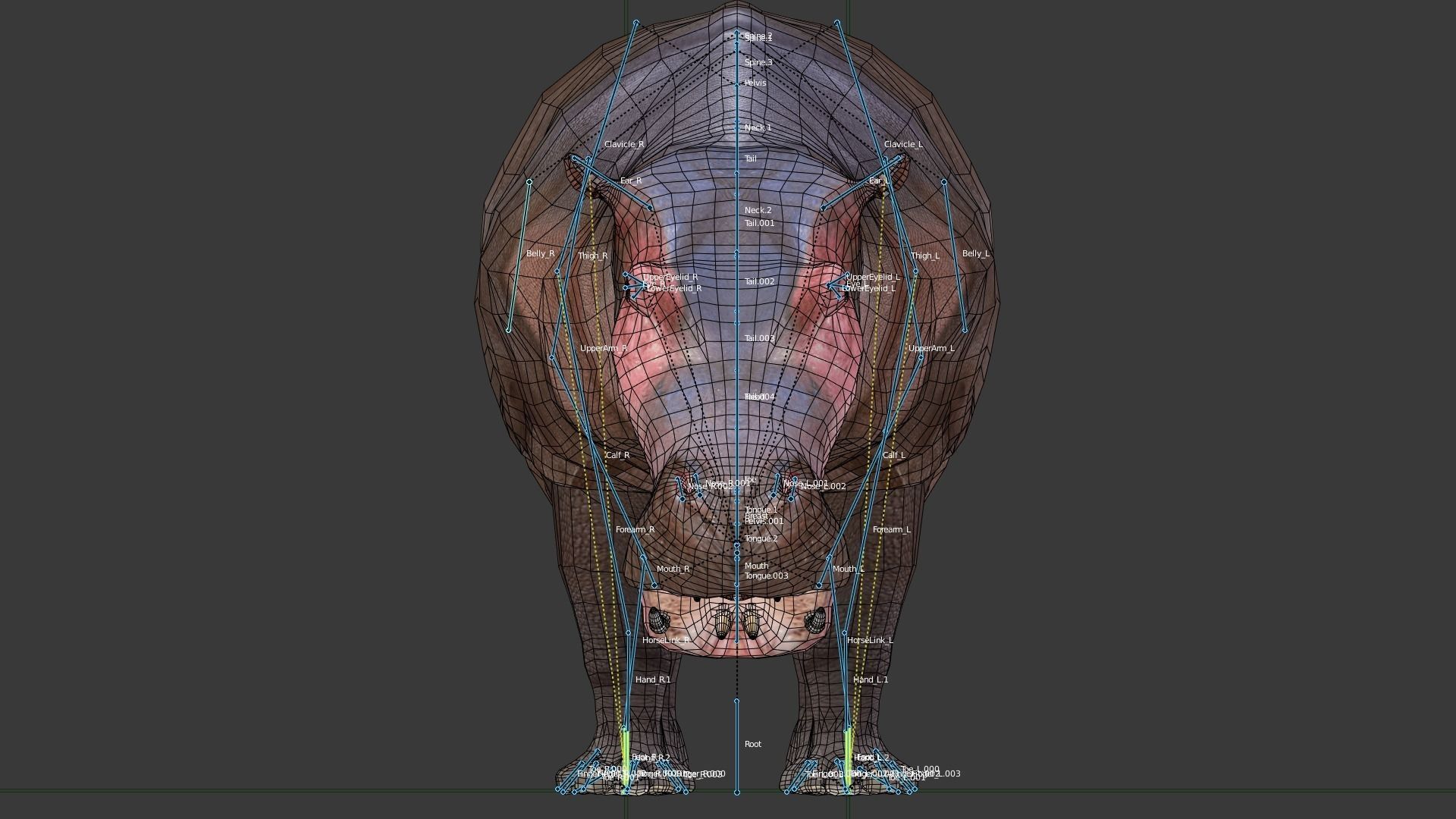 Hippopotamus Low-poly 3D model_6