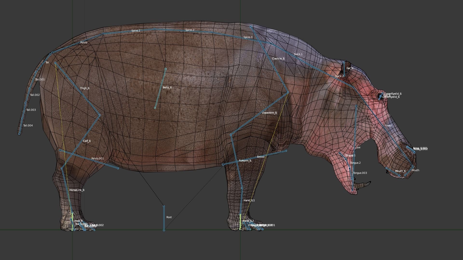 Hippopotamus Low-poly 3D model_4