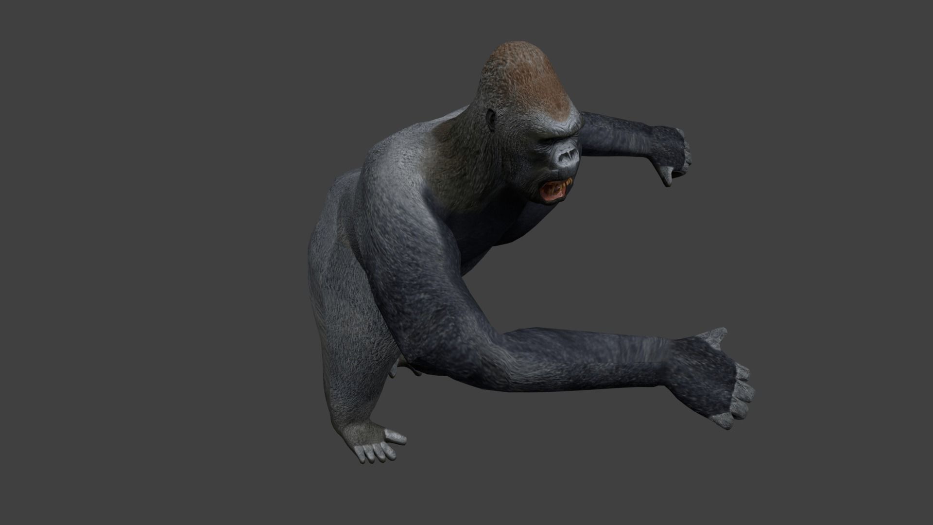 Gorilla Low-poly 3D model_3