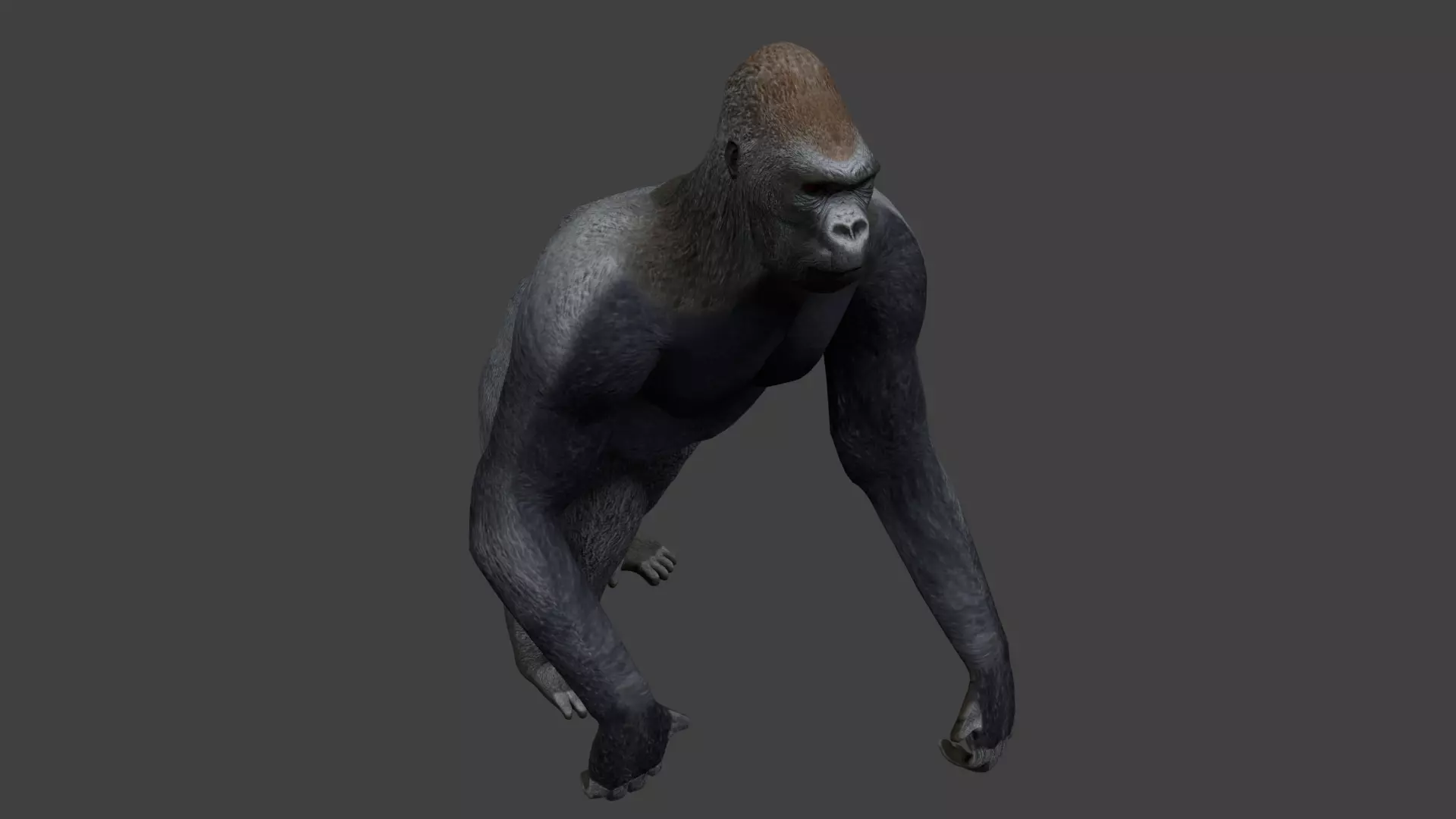 Gorilla Low-poly 3D model_0